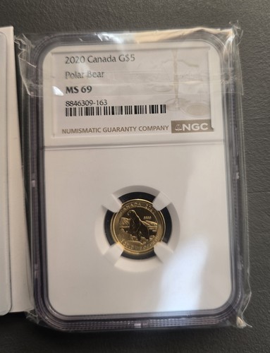 Ms69 2020 canada polar bear - polar,