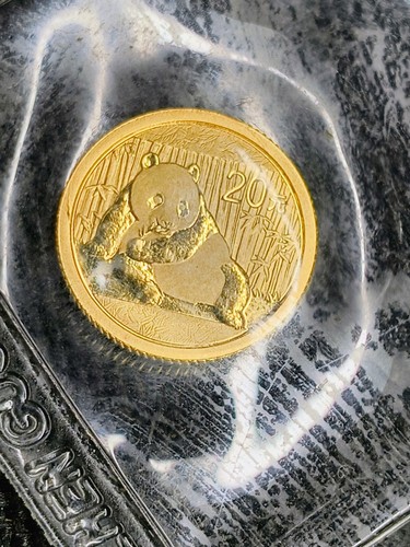 Gold panda coin 2015 - 1/20,